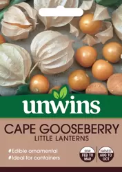Cape Gooseberry Little Lanterns - image 1