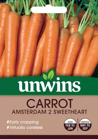 Carrot Amsterdam 2 Sweetheart - image 1