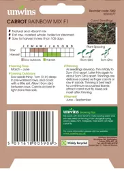Carrot Rainbow Mix F1 - image 2