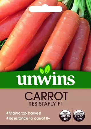 Carrot Resistafly F1 - image 1
