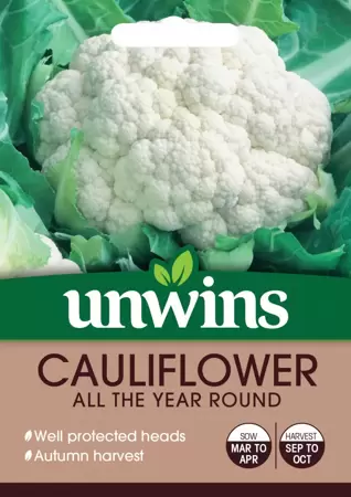Cauliflower All The Year Round - image 1