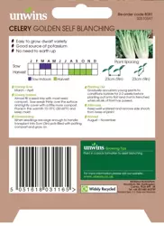 Celery Golden Self Blanching - image 2