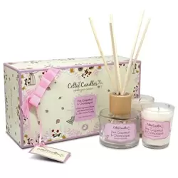 Celtic Candles Mini Gift Set Pink Grapefruit & Champagne