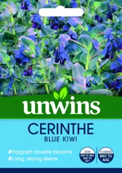 Cerinthe Blue Kiwi - image 1