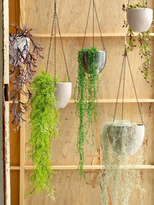 Citronella hanging red - l84xw22xh10cm - image 2