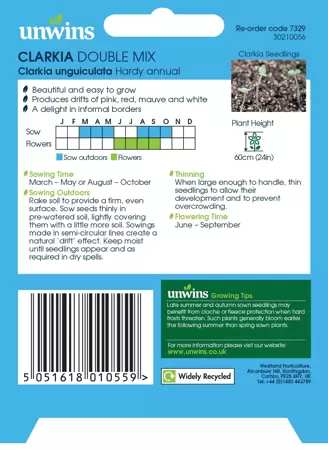 Clarkia Double Mix - image 2