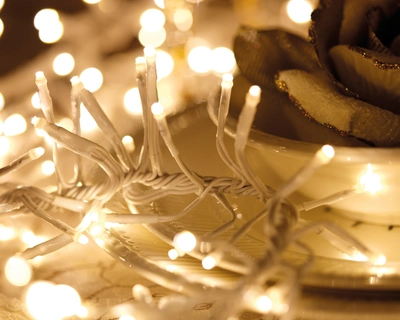 Cluster Twinkle 768 LED String Lights Transparent/Warm White L600cm - image 2