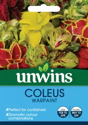 Coleus Warpaint - image 1