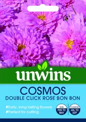 Cosmos Double Click Rose Bon Bon - image 1
