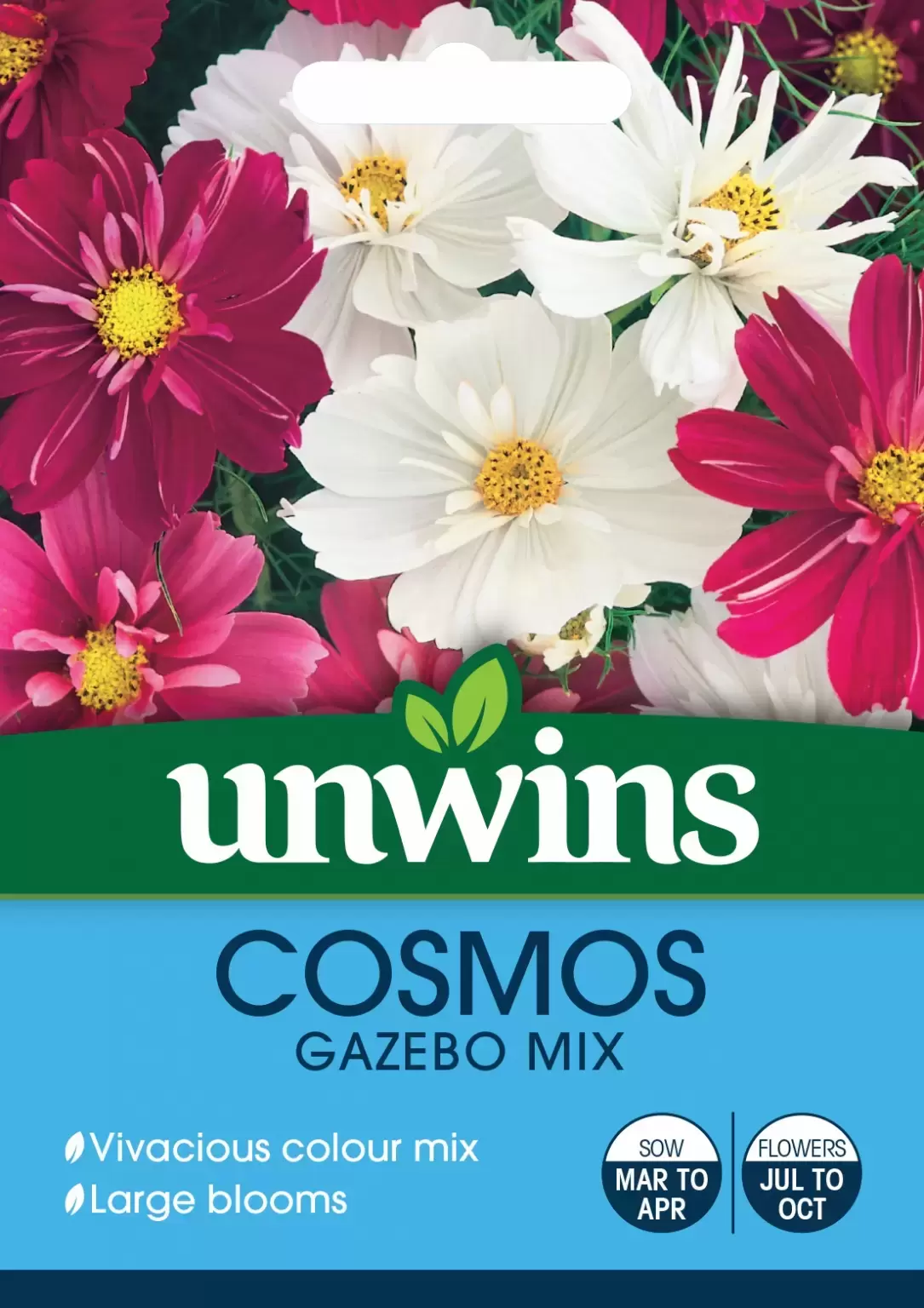 Cosmos Gazebo Mix - Fernhill Garden Centre