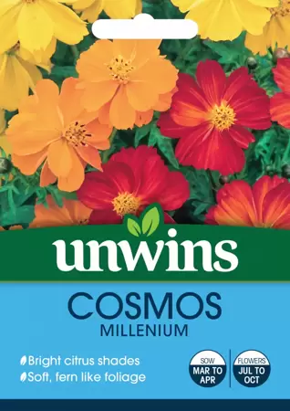 Cosmos Millennium - image 1