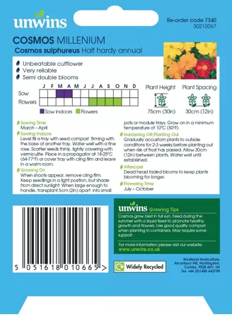 Cosmos Millennium - image 2