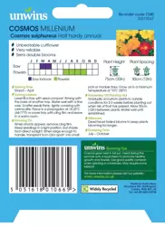 Cosmos Millennium - image 2