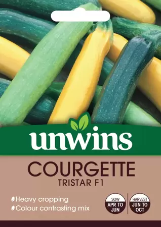 Courgette Tristar F1 - image 1