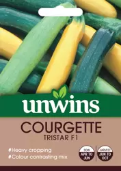 Courgette Tristar F1 - image 1