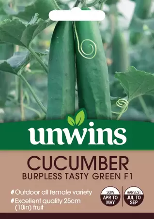 Cucumber Burpless Tasty Green F1 - image 1