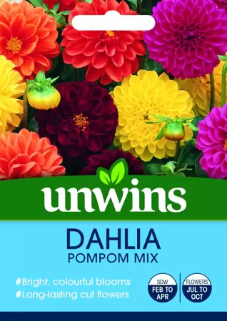 Dahlia Pompom Mix - image 1