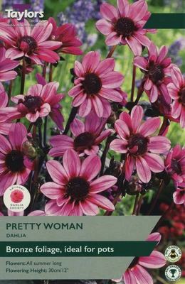 DAHLIA PRETTY WOMAN