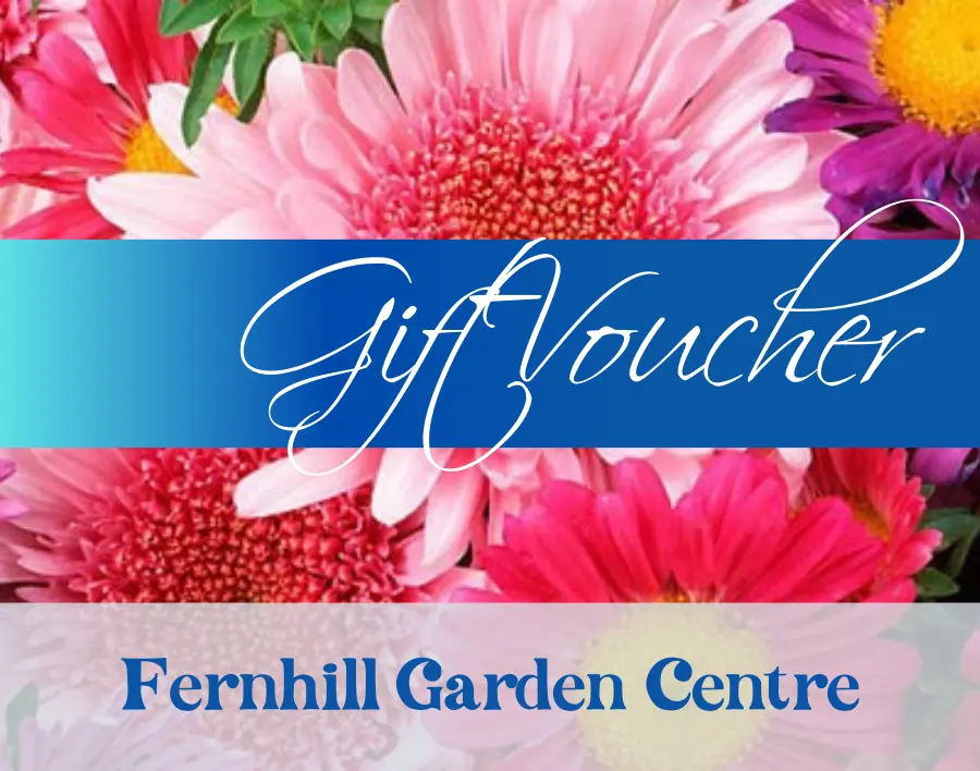 Digital Giftcard from Fernhill IE