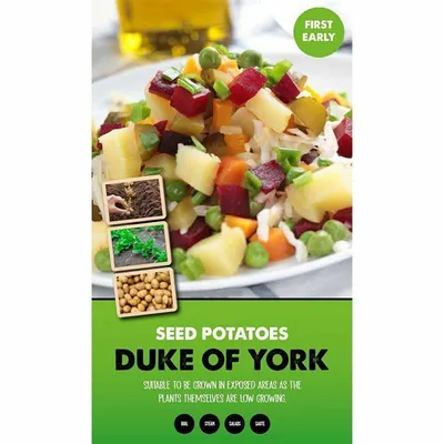 Duke Of York First Early Seed Potatoes 2kg