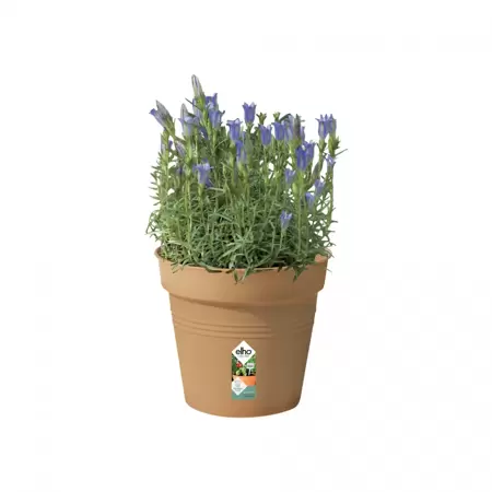 Elho Green Basics Growpot 17cm Mild Terracotta - image 2