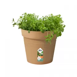 Elho Green Basics Growpot 30cm Mild Terracotta - image 2