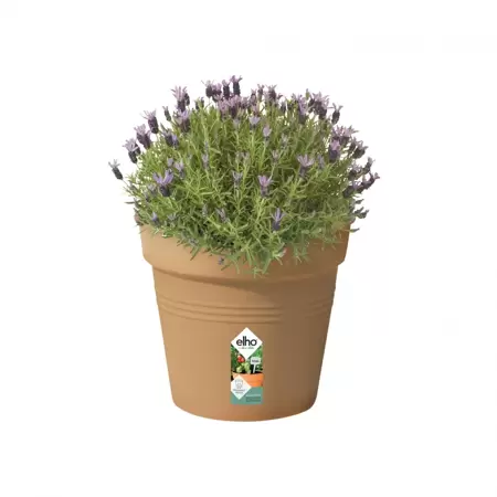 Elho Green Basics Growpot 35cm Mild Terracotta - image 2