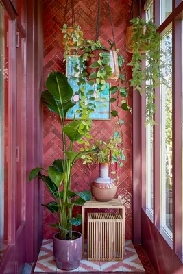 Fern hanging green - l115xw25xh5cm - image 3