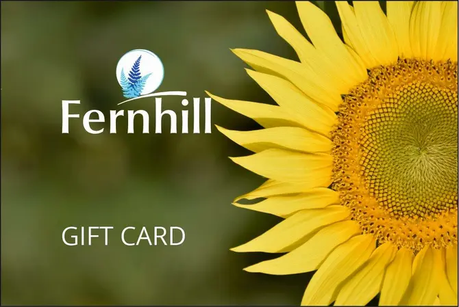 Fernhill Gift Card €10 - image 4
