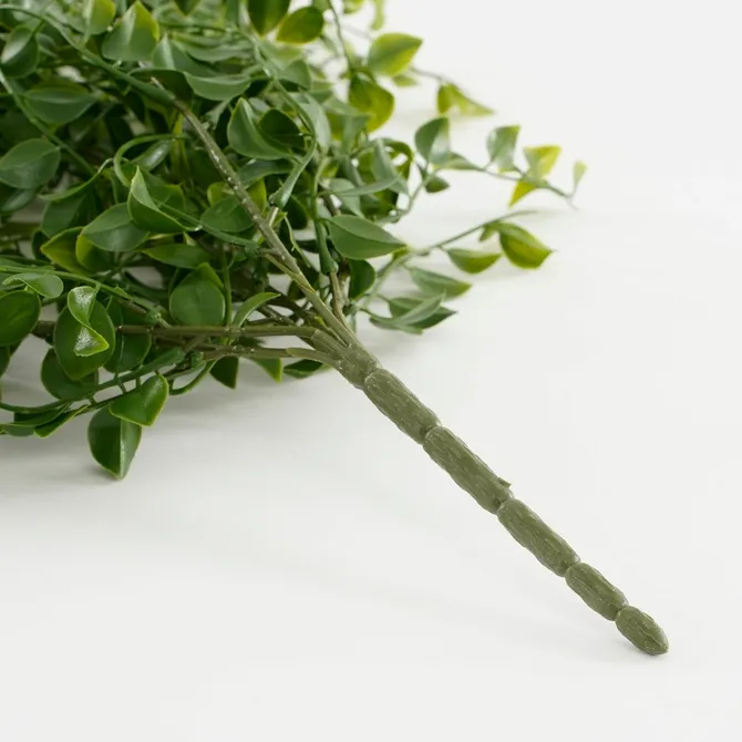 Ficus hanging green - l81xw24xh10cm - image 4