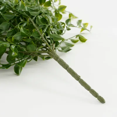 Ficus hanging green - l81xw24xh10cm - image 4