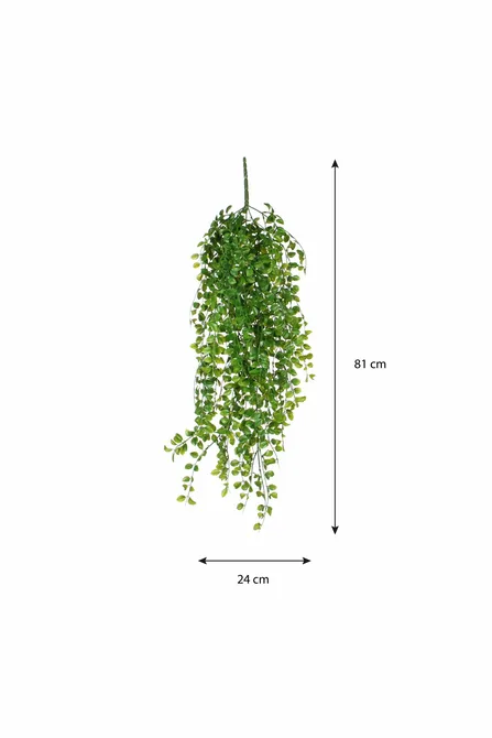 Ficus hanging green - l81xw24xh10cm - image 6