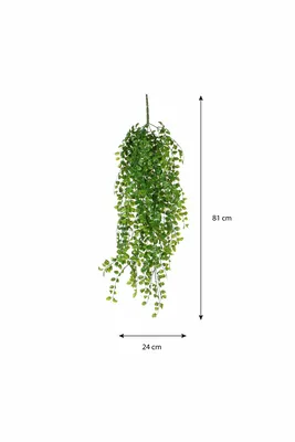 Ficus hanging green - l81xw24xh10cm - image 6
