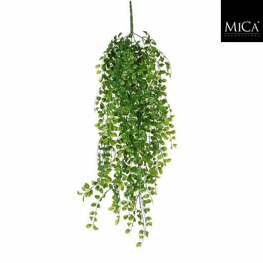 Ficus hanging green - l81xw24xh10cm - image 1