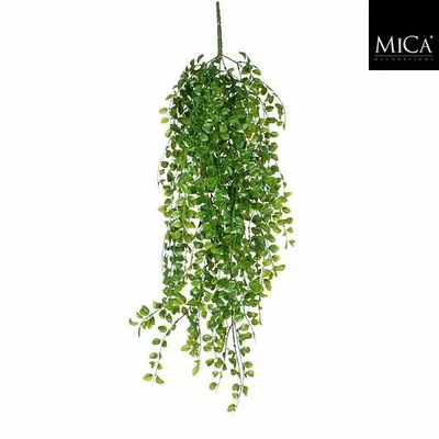 Ficus hanging green - l81xw24xh10cm