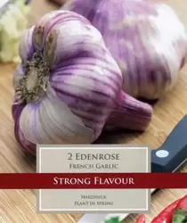 FRENCH GARLIC EDEN ROSE