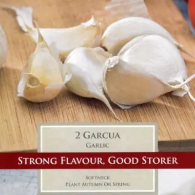 Garlic Garcua