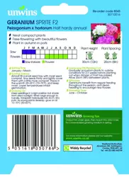 Geranium Sprite F2 - image 2