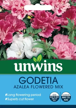 Godetia Azalea Flowered Mix