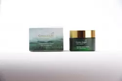 Green Angel Seaweed Night Cream