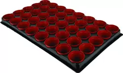 Grow It Seed and Cutting Tray with 40 Pots 