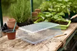 Grow It Standard Seed Tray Lid - image 4