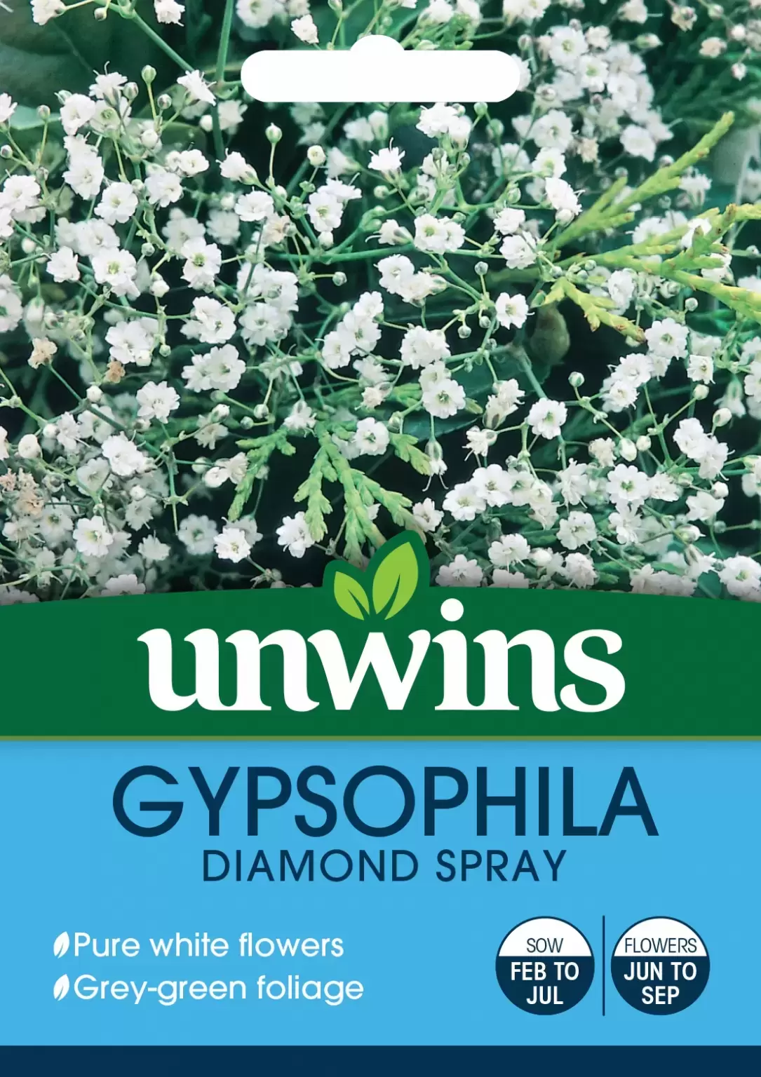 Gypsophila Diamond Spray at Fernhill IE