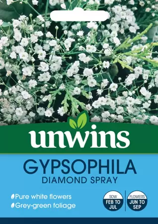 Gypsophila Diamond Spray - image 1