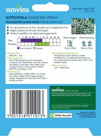 Gypsophila Diamond Spray - image 2