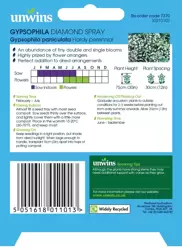 Gypsophila Diamond Spray - image 2