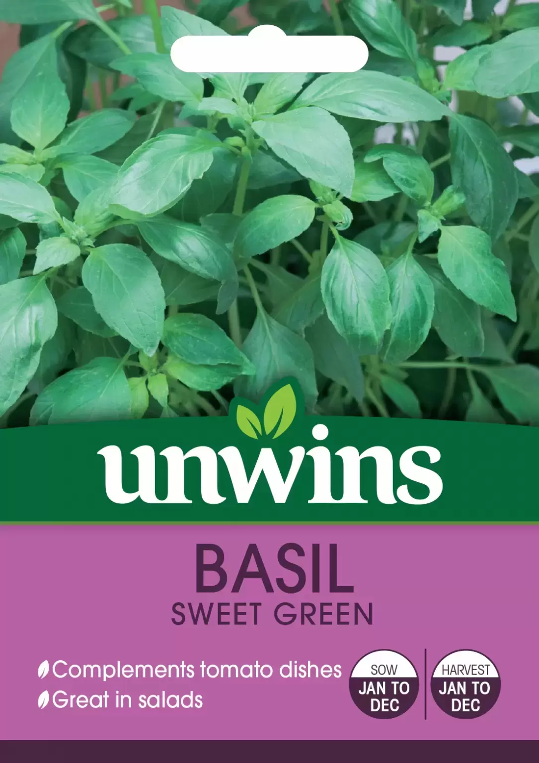 Herb Basil Sweet Green from Fernhill IE