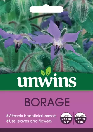Herb Borage - image 1