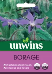 Herb Borage - image 1