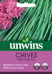 Herb Chives Fine Leaved - image 1